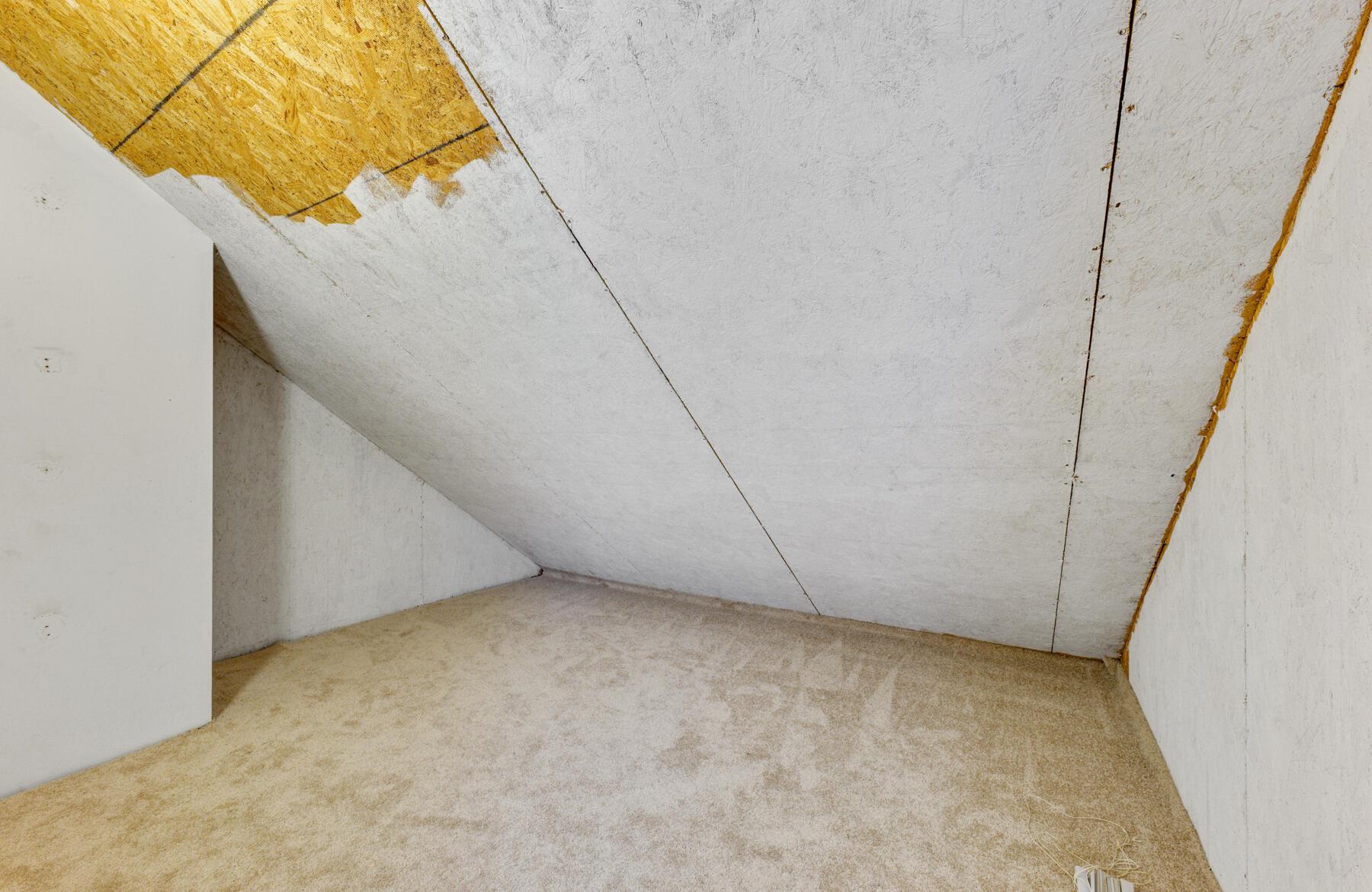 Photo #41