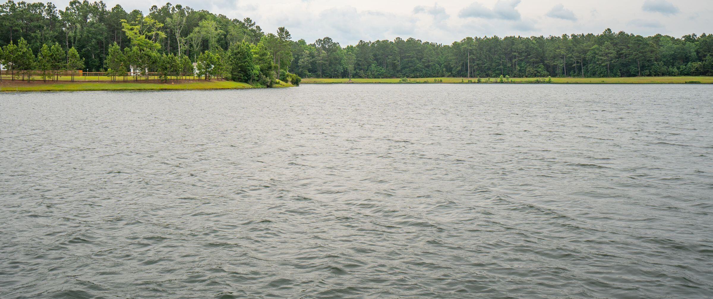 Photo #57