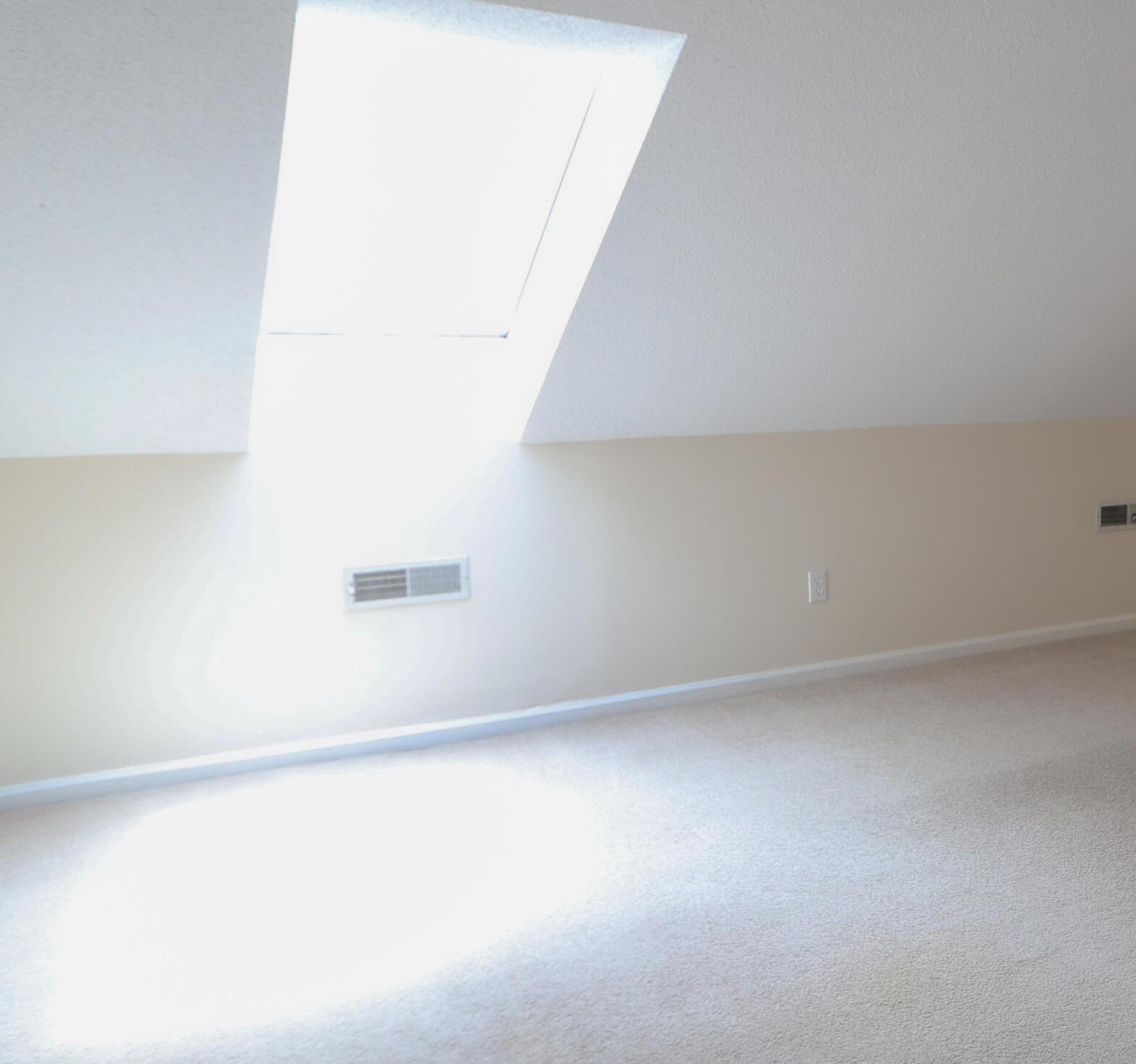 Photo #18