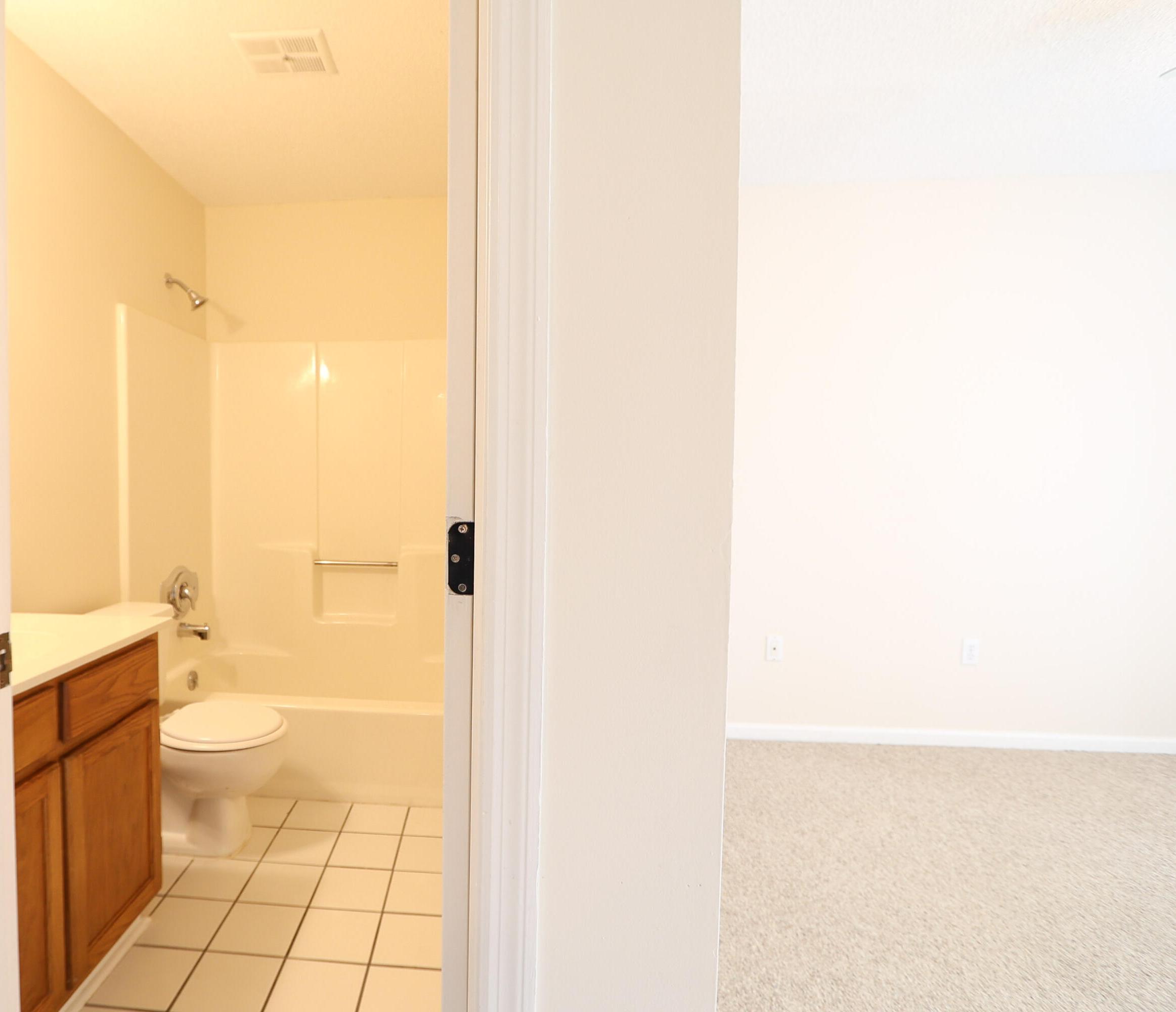 Photo #17
