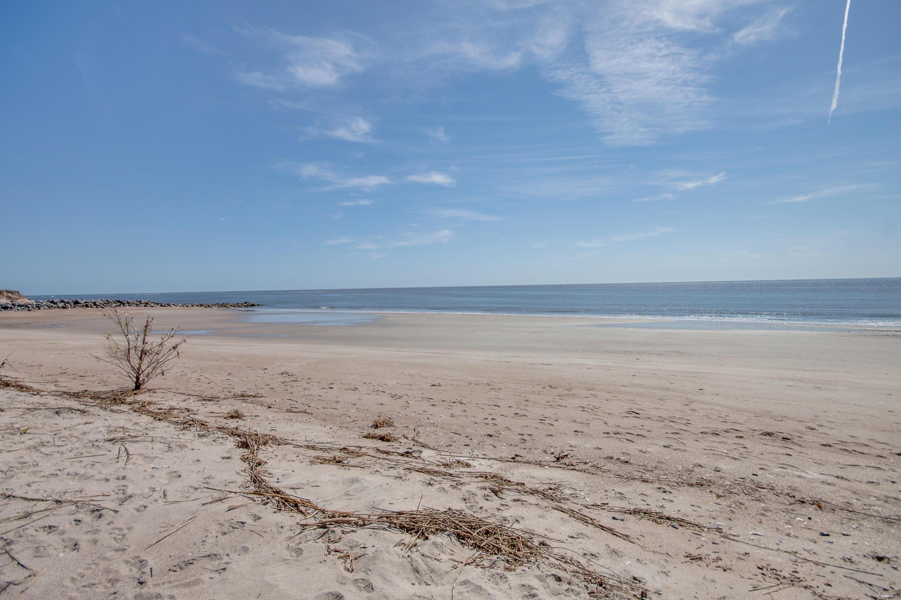 Photo #52