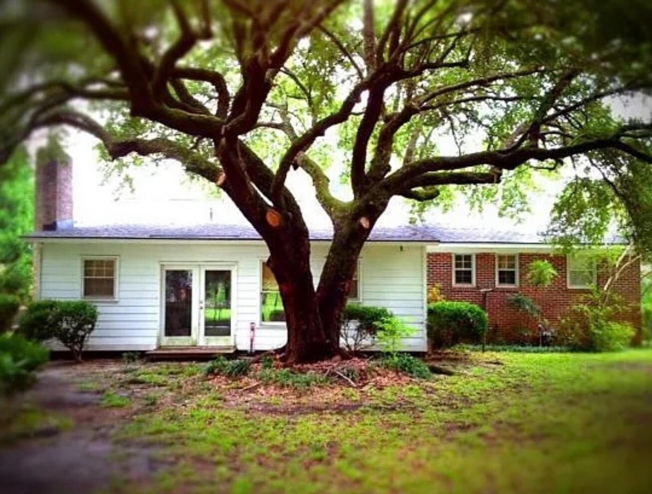 Photo #2