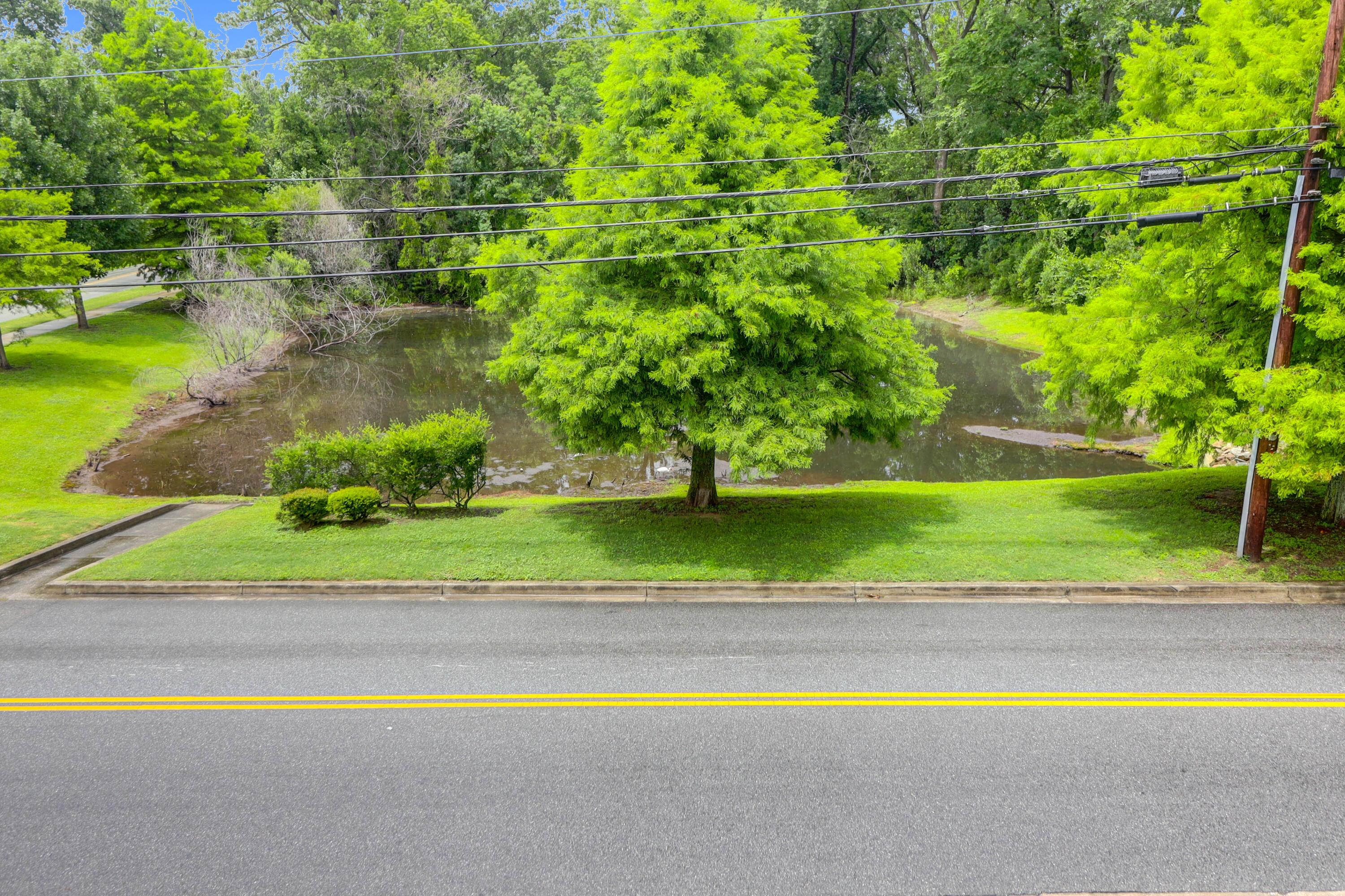 Photo #41