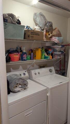 Photo #31