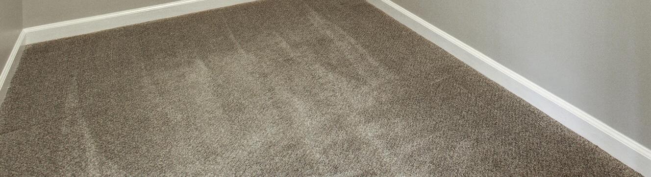 Photo #22