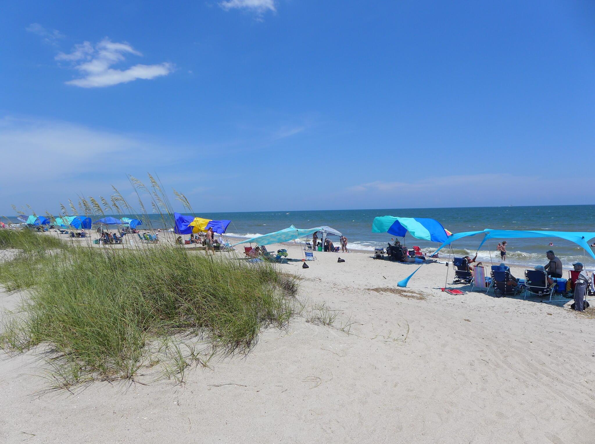 Photo #35