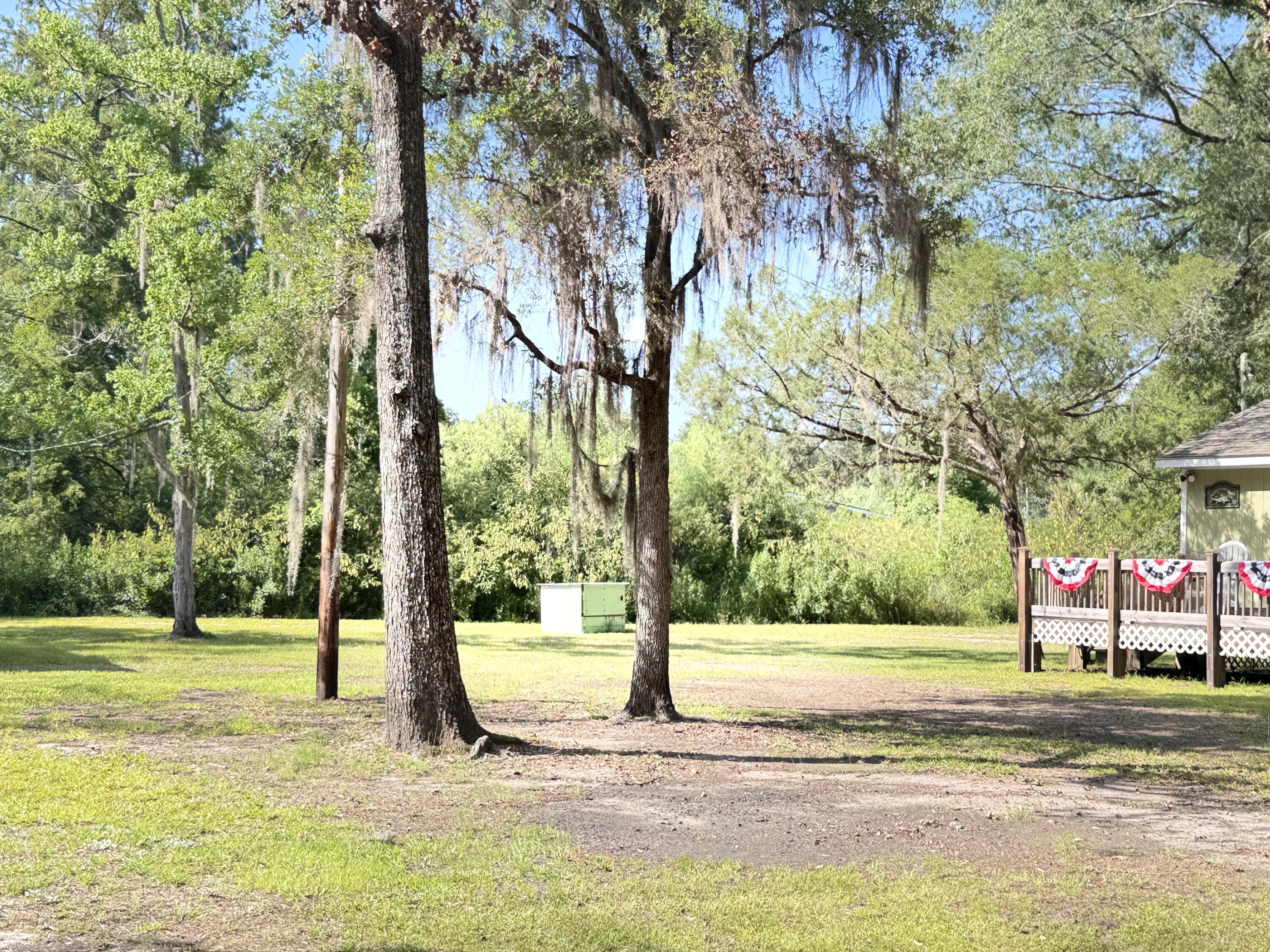 Photo #61