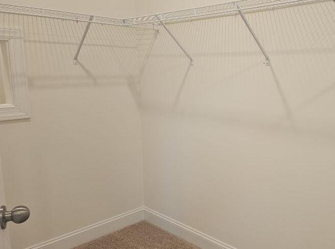 Photo #16