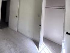 Photo #14