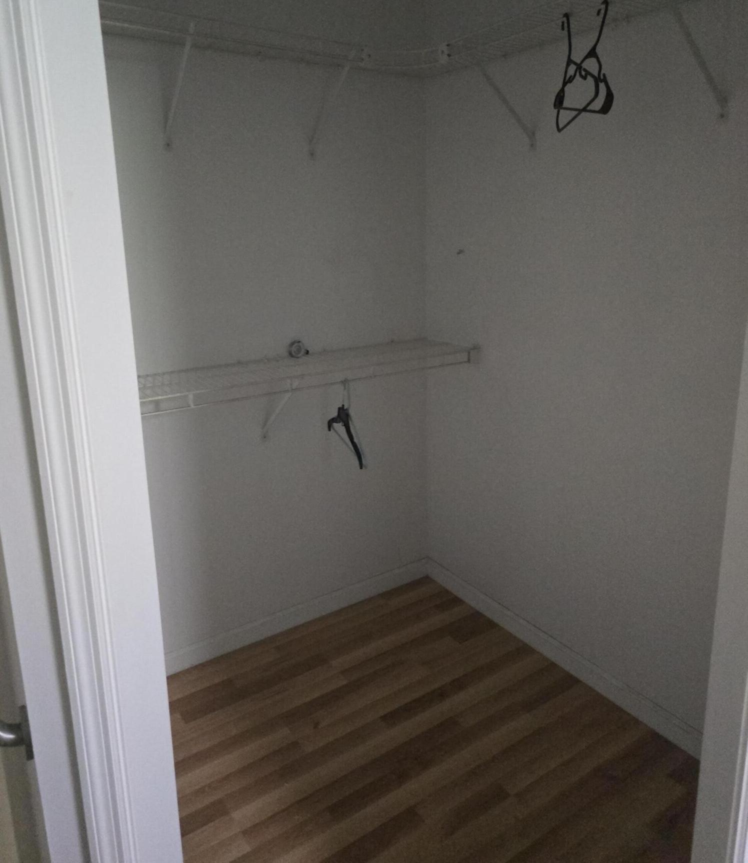 Photo #12