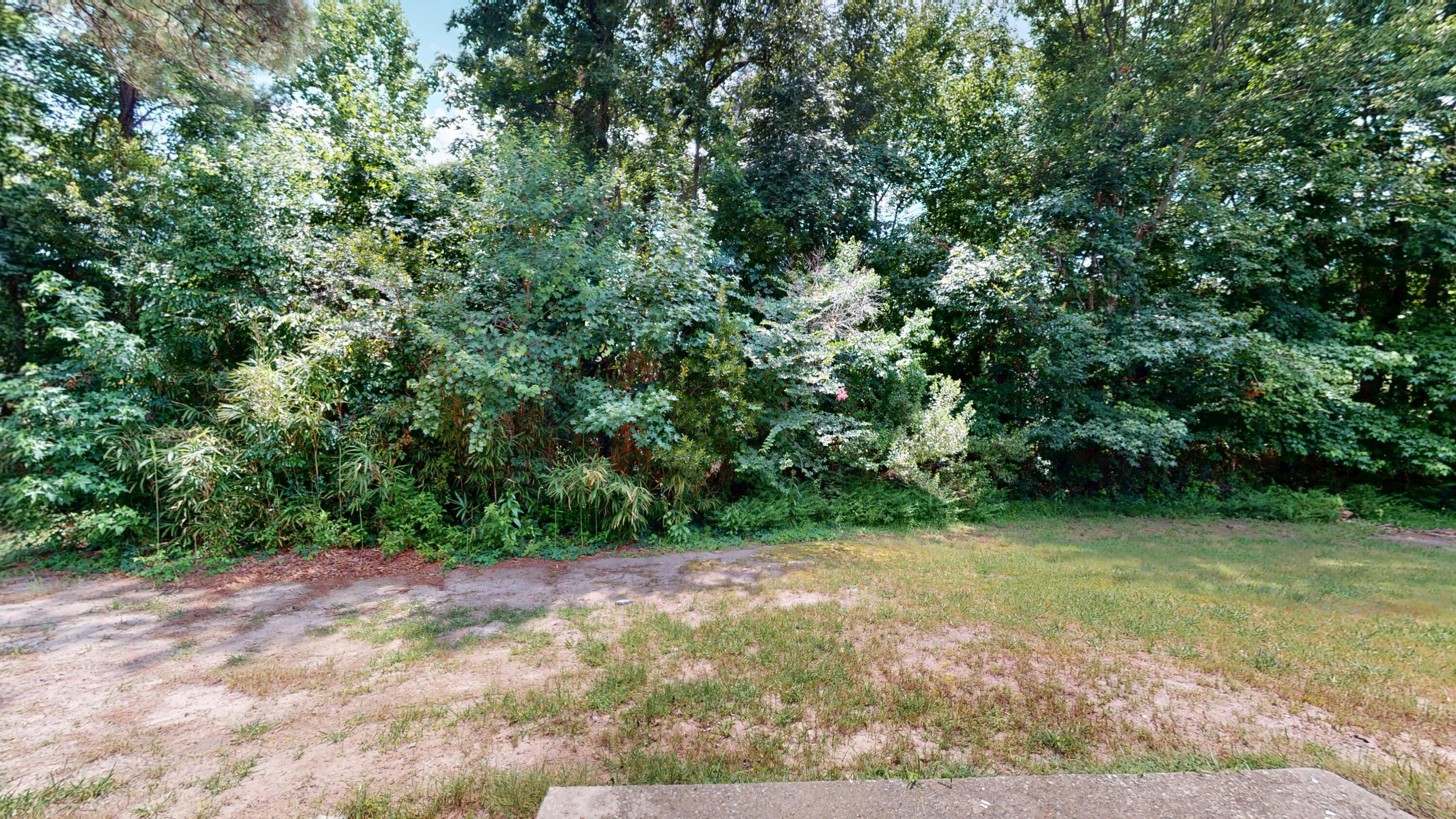 Photo #5
