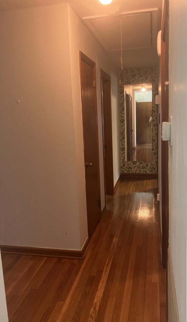 Photo #11
