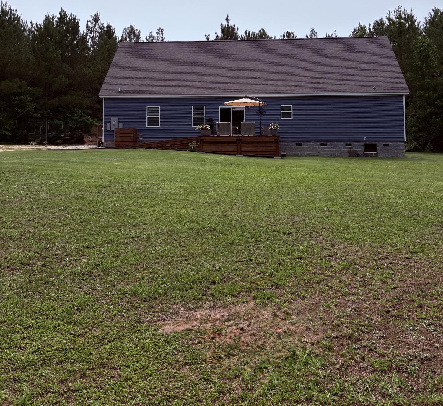 Photo #12