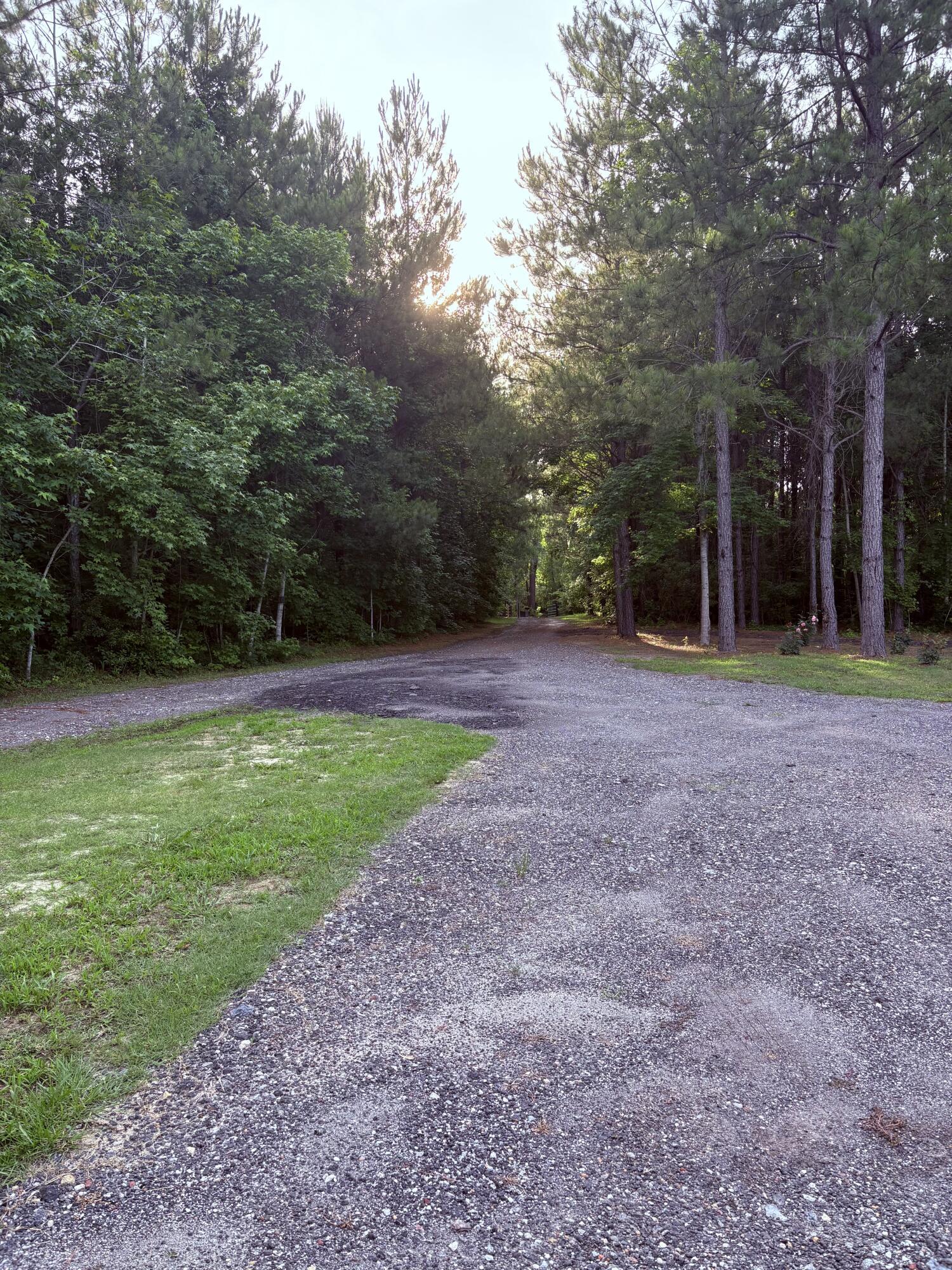Photo #14