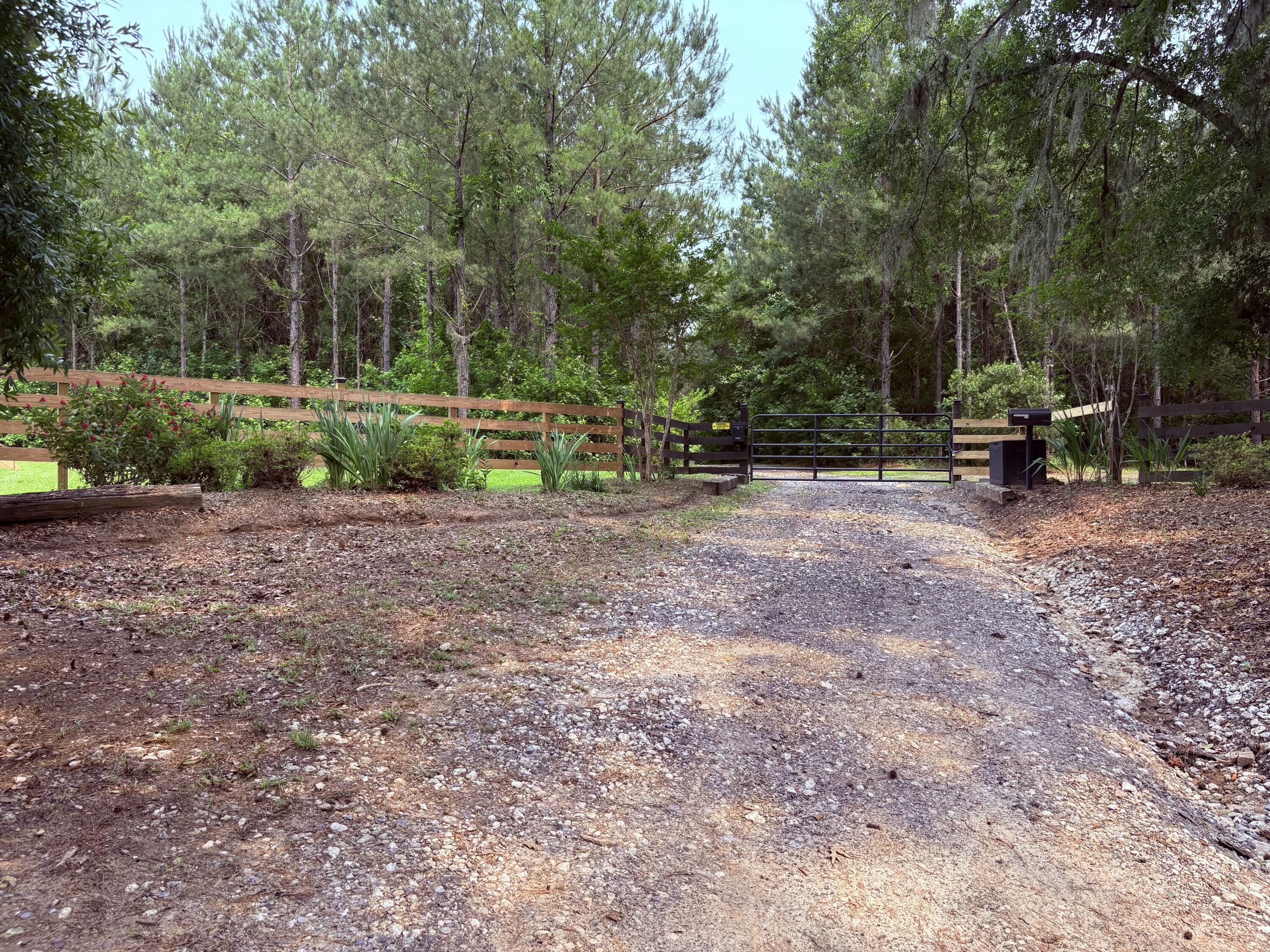 Photo #5