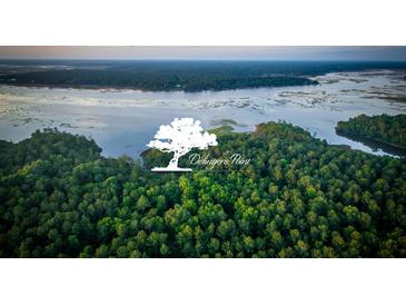 Aerial view of Delinger's Point community with waterfront property and lush greenery at 3857 Delinger Dr, Mount Pleasant, SC 29466