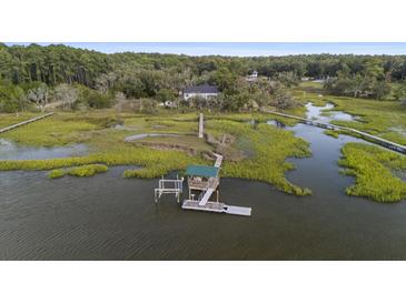 Waterfront property with a private boat dock and lift surrounded by marshland and mature trees at 8272 Palmetto Rd, Edisto Island, SC 29438