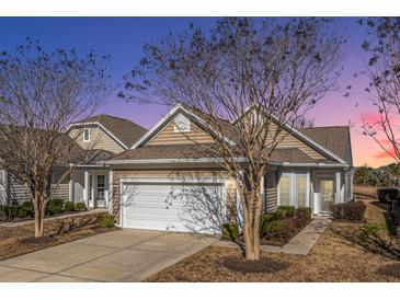 Tan colored home with white garage door and landscaping at 234 Sea Lavender Ln, Summerville, SC 29486