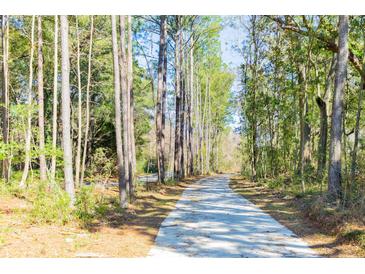 Paved nature trail winding through lush trees, providing a tranquil outdoor experience at 1604 John Fenwick Ln, Johns Island, SC 29455