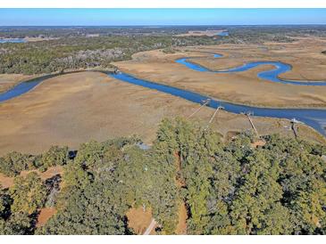 Aerial view of waterfront property with expansive marsh views and private docks at 8934 Sandy Creek Rd, Edisto Island, SC 29438