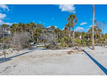 Beachfront home with palm trees and ocean views at 367 Pelican Flight Dr, Dewees Island, SC 29451