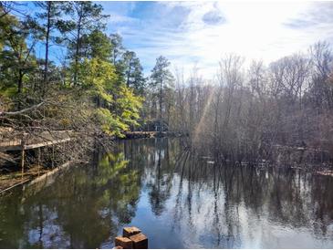 Scenic lake view with calm water and lush trees at 218 Cat Hole Ln, Branchville, SC 29432