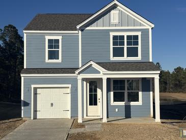 Two-story house featuring gray siding, white accents, and a two-car garage at 114 Lilac Grove Way, Summerville, SC 29486