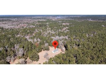 Aerial view of a house nestled in a wooded area at 8978 Victor Lincoln Rd, McClellanville, SC 29458