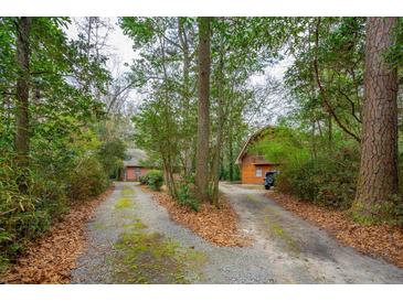Inviting long driveway leading to a charming cabin-style home surrounded by mature trees at 415 W Carolina Ave, Summerville, SC 29483