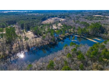 Expansive aerial view showcasing the lakefront property surrounded by lush greenery and mature trees at 120 Rancho Hippey Way, Saint George, SC 29477
