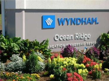 Well maintained landscaping surrounds the Wyndham Ocean Ridge Vacation Ownership Resort sign at 280 Driftwood Ln, Edisto Beach, SC 29438