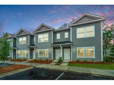 Gray two-story townhomes featuring a symmetrical facade with white doors, windows, and manicured landscaping at 704 Twin Rivers Dr # 44, Wando, SC 29492