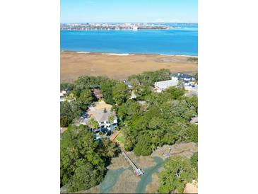 Breathtaking aerial view showcasing the waterfront home, private dock, and scenic coastal landscape at 886 White Point Blvd, Charleston, SC 29412