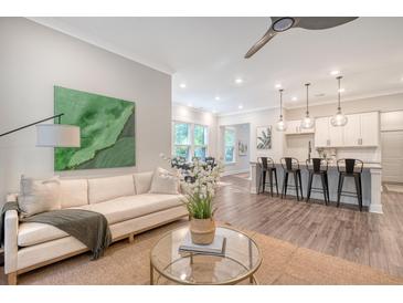 Inviting living room featuring a comfortable sofa, stylish decor, and an open layout to the kitchen and dining area at 3092 Emma Ln, Mount Pleasant, SC 29466