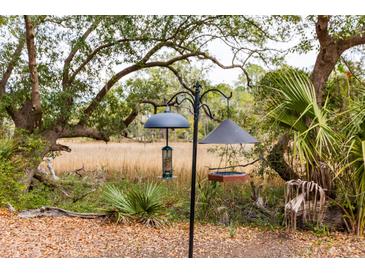 Backyard bird feeders enhance the property's natural setting with mature trees and view to expansive marshland at 130 River Landing Dr # 6207, Charleston, SC 29492
