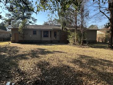 Spacious backyard featuring mature trees, a brick chimney and a neutral-toned single story home at 125 Three Wood Ln, Summerville, SC 29483