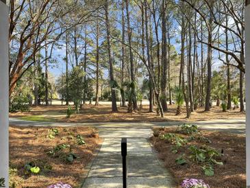 Scenic property entrance featuring a beautiful, landscaped front yard with mature trees and lush greenery at 3334 Cottonfield Dr, Mount Pleasant, SC 29466