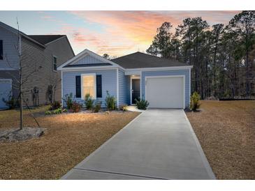 Charming single-story home featuring light blue siding, a one-car garage, and a concrete driveway at 229 Coral Sunset Way, Summerville, SC 29486