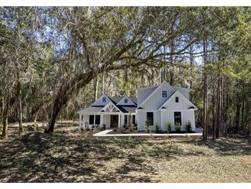 Exterior view of a charming two-story home nestled among mature trees at 3434 Kit Freeman Ln, Johns Island, SC 29455