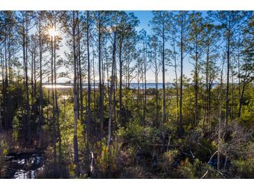 Breathtaking marsh view through a beautiful landscape of mature trees at 1690 Cultivation Ln # 543, Mount Pleasant, SC 29466
