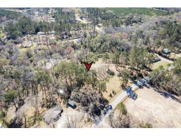 Aerial view of a wooded lot, offering privacy and a serene natural setting at 328 Fox Field Rd, Walterboro, SC 29488