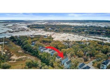 An aerial view of the marsh front homes surrounded by lush landscaping at 1450 Eutaw Battalion Dr, Charleston, SC 29412