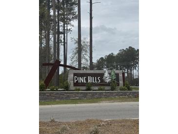 Stone and concrete community welcome sign with the words Pine Hills surrounded by tall trees on an overcast day at 413 Cedarview Rd, Summerville, SC 29486