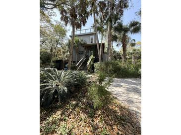 Charming home featuring a quaint stairwell entrance surrounded by beautiful palm trees and lush greenery at 4113 Buccaneer Rd, Isle of Palms, SC 29451