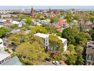 Lovely aerial view of a building surrounded by trees and a beautiful city at 10 Logan St # 6, Charleston, SC 29401