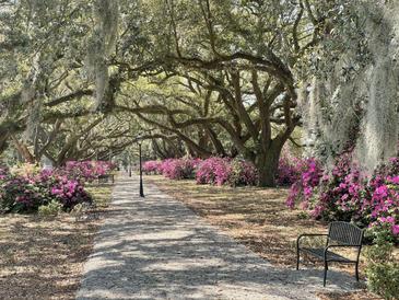 Picturesque park pathway lined with vibrant azaleas, offering a serene and inviting outdoor experience at 1032 Avenue Of Oaks, Charleston, SC 29407