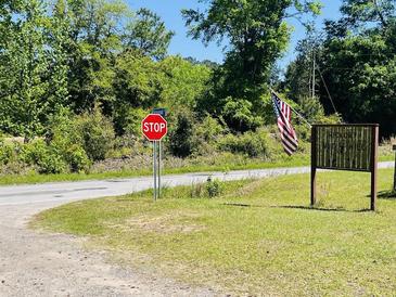 A Hickory Hill sign and an American flag stand beside a rural road on a sunny day at 6935 Hickorynut Ln, Ravenel, SC 29470