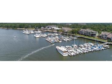 A picturesque aerial view showcases the marina with numerous boats docked in the calm waters at 1880 Andell Bluff Blvd # Slip E 9, Johns Island, SC 29455