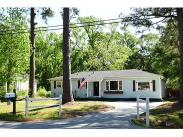 Charming single-story home featuring light blue siding, a dark roof, an American flag, and a well-maintained front yard at 816 Savage Rd, Charleston, SC 29414