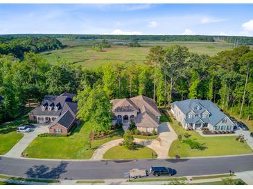 Stunning aerial view of distinguished homes nestled amongst lush greenery and a serene marsh landscape at 5433 Clearview Dr, North Charleston, SC 29420